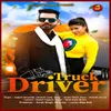 About Truck Driver Song
